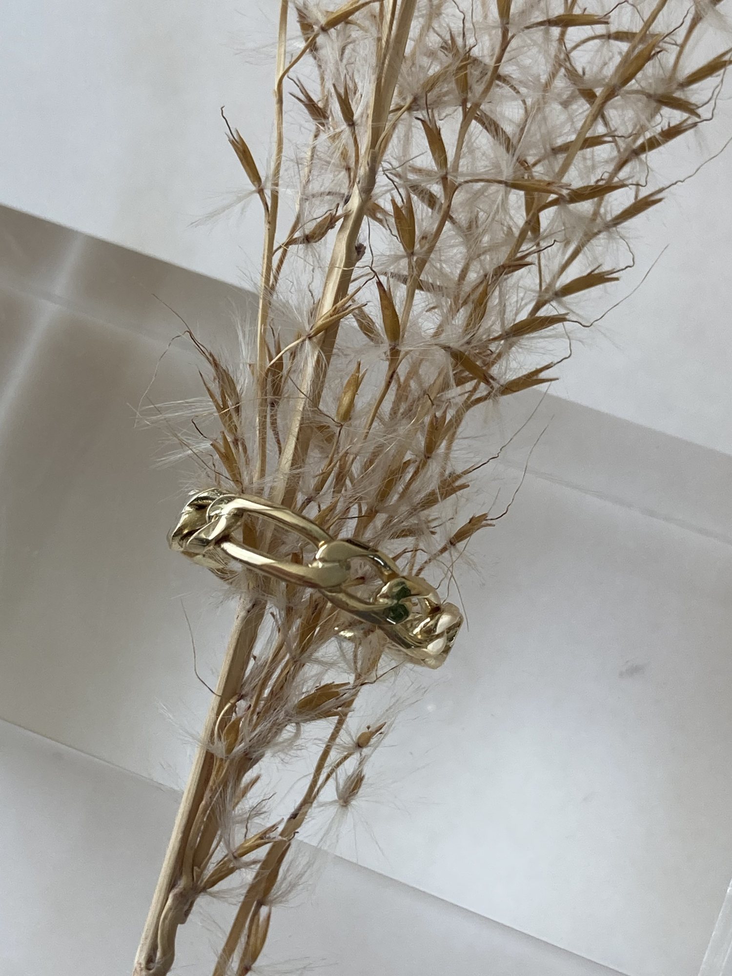 Gouden schakelring op droge grassen